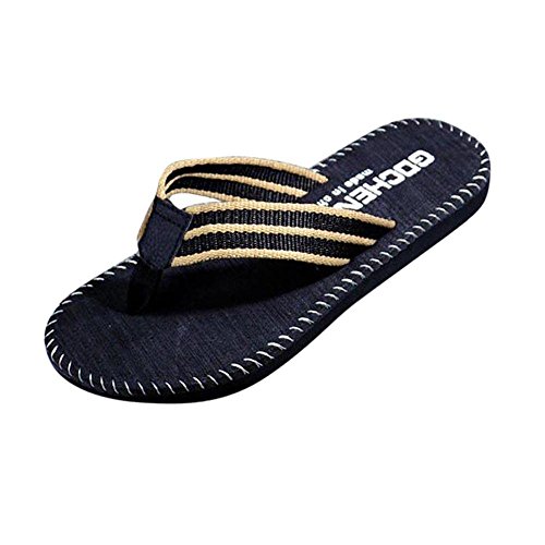 Platform Slipper,Clearance! AgrinTol Men Summer Stripe Flip Flops Male Slipper Flip-Flops Sandals (44, Black)