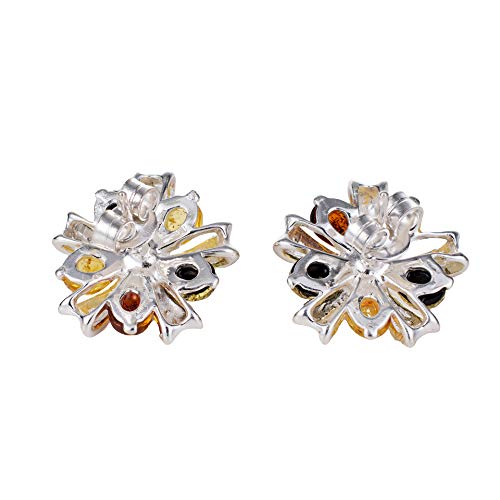 Amber Earrings - Baltic Multicolored Amber Dangling Earrings "Clemence", Hypoallergenic Earrings - Sterling Silver Jewelry Collection4