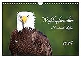 Zeichen von Freiheit und Vertrauen: Der Weißkopfseeadler. , von Autor(in): Holm Anders