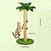 Dohump Cat Scratching Post, 31