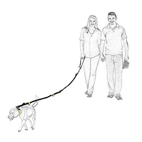 Mile High Life | Guinzaglio retrattile per cani da...