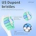 Utimcare Replacement Toothbrush Heads Compatible with Philips Sonicare Electric Toothbrush, 10 Pack, Refills