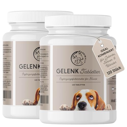 Gelenktabletten für Hunde mit MSM, Grünlippmuschel, Teufelskralle, Glucosamin & Hyaluron - 2 Dosen á 120 Gelenke Tabletten für Hunde - Hohe Akzeptanz beim Hund durch kleine Tabletten - Doppelpack