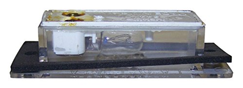 Crown Automotive License Plate Light Electrical, Lighting and Body