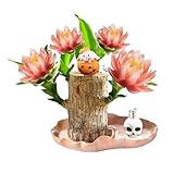 Generisch Brasilianisch mit, züchten Sie Ihr eigenes Glück, pflegeleicht, Mini-Brasilien für drinnen draußen, Schlafzimmer, Küche, Schreibtisch, Garten (Orange, 10cm)