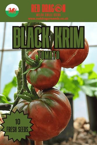 Black Krim Tomato Seeds - 10 Fresh Black Krim Tomato Seeds