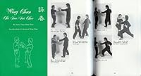 Wing Chun Chi Sau/Bui Chee B0015AK0MW Book Cover