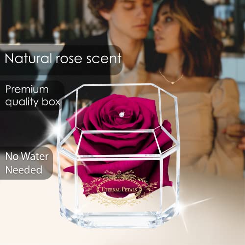 A 100% Real Rose That Lasts Years - Eternal Petals, Handmade in UK - Gold Solo with A Clear Crystal (Cherry) - Image 3