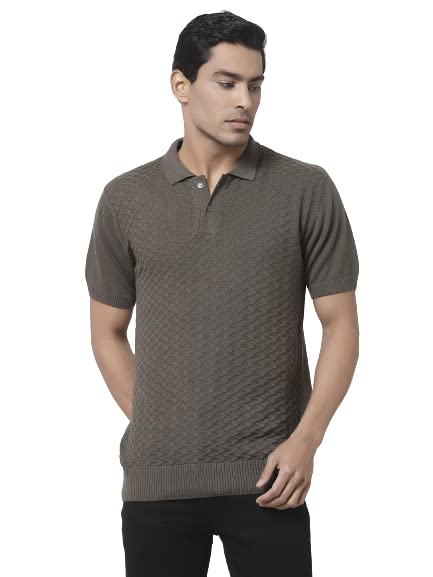 Image of Style Quotient Men Olive Self Design Tshirts