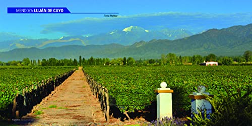 Exploring Wine Regions: Argentina (Exploring Wine Regions, 1) #TOP3