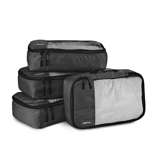 AmazonBasics - Set da 4 cubi organizzatori, misura piccola, Nero