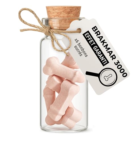 BRAKMAR 3000 : bonbons rigolos contre les coups de mou - Friandise coquine et humoristique dans une fiole - Cadeau EVG, anniversaire, collègue, Saint-Valentin