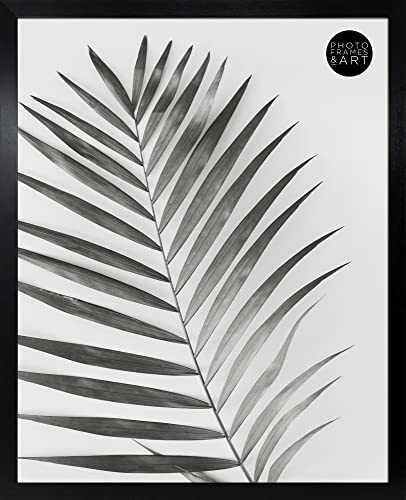 pf+a REAL GLASS Frame For 20x16 Poster - 20x16 inch Oxford Black Picture Frame / 20x16 inch Picture Frame