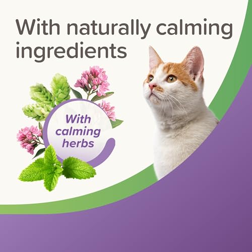 Beaphar – StressLess Herbal Calming Cat Treats – Daily Treats to Help Reduce Stress – Tasty Chicken Flavour – With Natural Calming Ingredients – 35g Treat Pack - Image 6