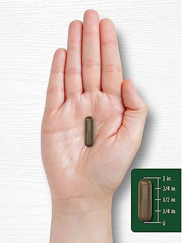 Carlyle Schisandra Supplement 1160 Mg | 200 Capsules | Berry Fruit Extract | Non-Gmo And Gluten Free #TOP6