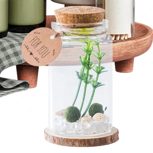 Mini bouteilles - 3,15 pouces pots en verre transparents pour projets d'artisanat, faveurs de fête avec fonction de rangement, bouteilles de dérive pour le souvenir de bureau de décoration domestique,