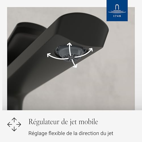Robinet lavabo surélevé Villeroy & Boch Oasis noir mat bec 245 mm - 5