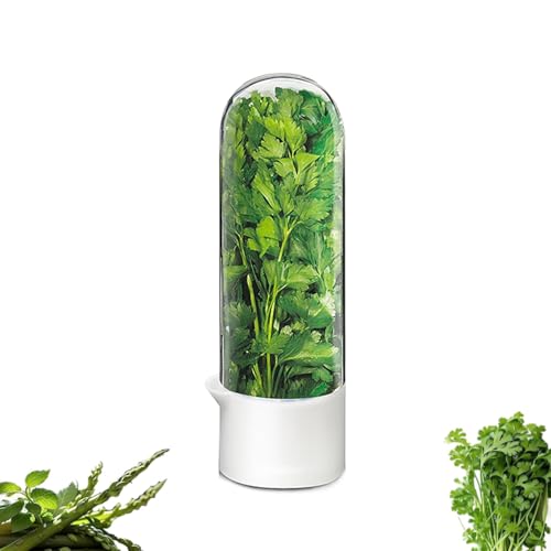Image of Cilantro Container for Fridge, Herb Saver for Refrigerator - Fresh Herb Keeper for Cilantro, Basil, Asparagus, Parsley, Keeps Greens Vegetables for 2-3 Weeks (1PCS)