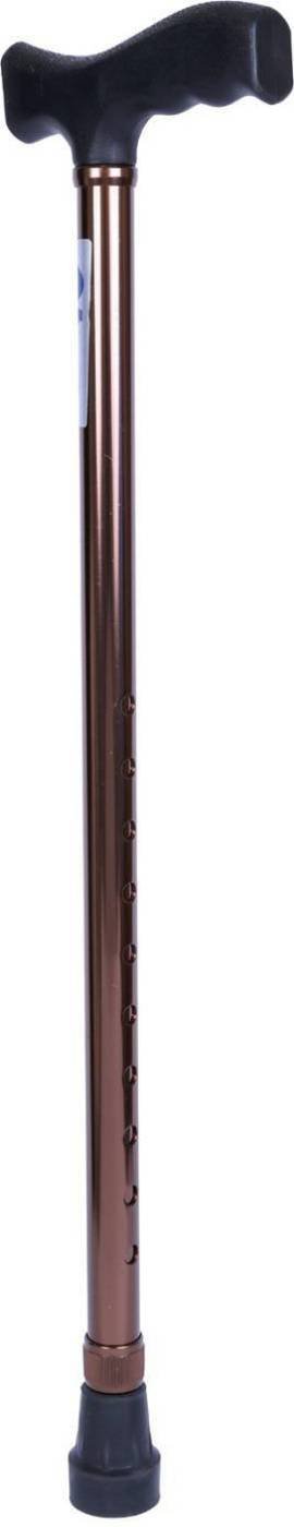 Walking Stick Golden Aluminium (B078BGRW1R) Amazon Price History, Amazon Price Tracker