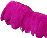 Bringen Sie Farbe in Ihre Dekoration, Handwerk, Kleidung oder Blumengesteck.