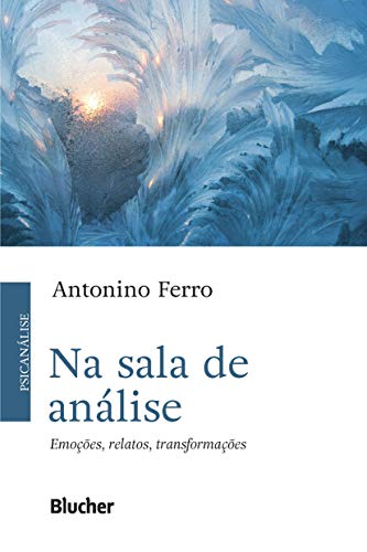 Na sala de análise: emoções, relatos, transformações