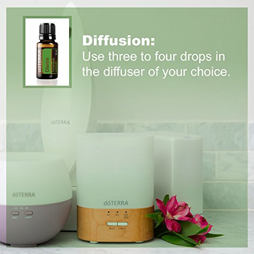 Doterra - Cilantro Essential Oil - 15 Ml #TOP3