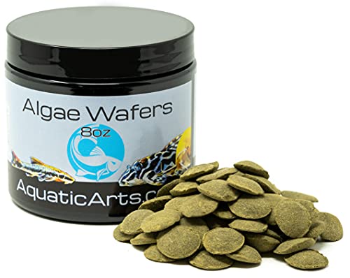 Aquatic Arts Algae Wafers (8 Ounce) Sinking Food For Live Aquarium Shrimp, Fish (Pleco/Tetra), Snails, And Bottom Feeders | High Protein Spirulina Blend Fish Food For Fish Tank Aquariums #TOP5