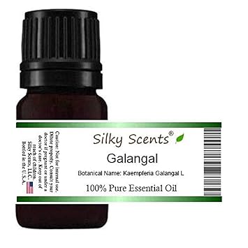Galangal Essential Oil Kaempferia Galangal L 100% Pure and Natural - 5 ML