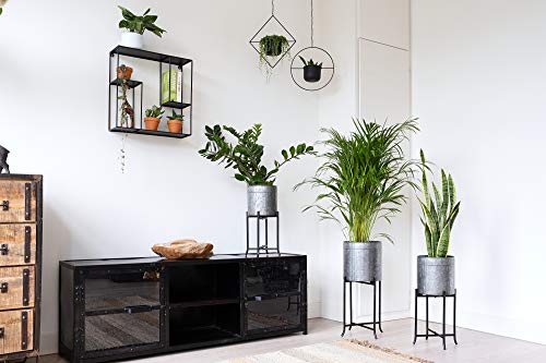 Set 3 Large Galvanized Planters Outdoor & Indoor, Metal Farmhouse Decor For Garden, Patio, Porch & Balcony, Pots With Stand And Drainage, Front Door Decorative Planting Container, Modern Rustic Decor #TOP7