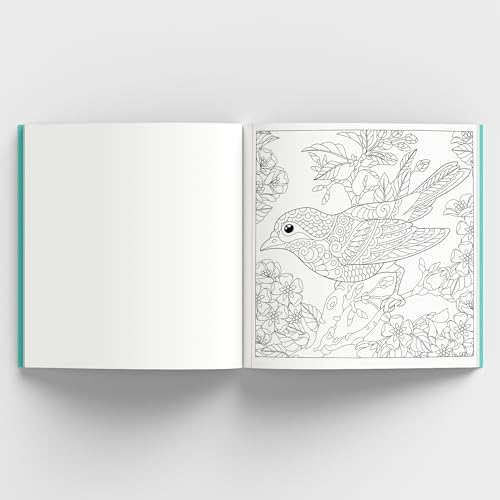 Image of Enchanting Nature: Coloring Book for Adults with Tear out Sheets | Fun and Relaxing Doodle Designs