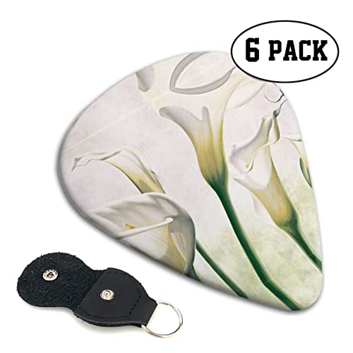 Beauty Flowers Lot de 6 médiators pour guitare acoustique, guitare électrique, basse, ukulélé – fins, moyens et épais - Les Beatles, Paul McCartney, John Lennon, RIngo Starr, George Harrison Beauty Flowers Lot de 6 médiators pour guitare acoustique, guitare électrique, basse, ukulélé – fins, moyens et épais – Image 3