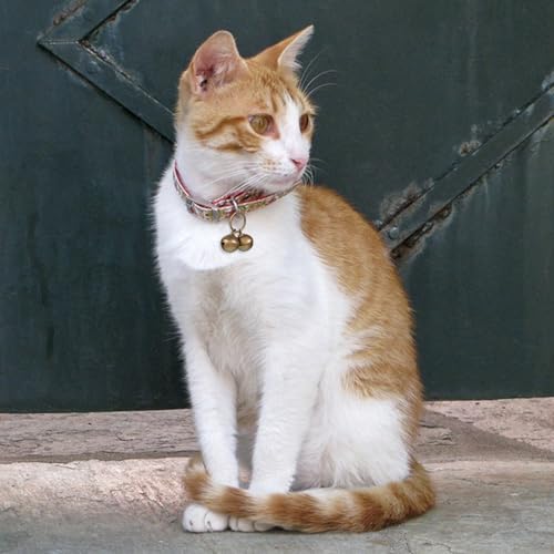 Qulkws 4 Stück Silber Glocken, Glöckchen Haustier, Hunde Laute Hundeglocken Für Haustierhalsband Zubehör, Schlüsselringe, Halskette, DIY Basteln Dekoration