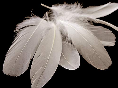 1 Pack - Ivory Goose Nagoire Wing Loose Feather - 0.25 Oz. Dream Catcher, Wedding, Halloween Craft Feathers | Moonlight Feather #TOP5