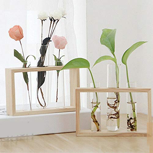 XWU Vaso de Vidro, Tubo de teste de vidro cristal planta terrário vaso vasos de flores para plantas