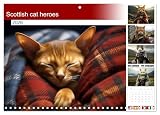 Scottish cat heroes (Monthly Wall Calendar 2026 11.7" x 16.5" (open)), CALVENDO 14 Month Calendar