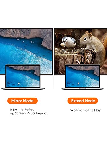 Image of CableCreation Active DP to HDMI Adapter 4K@60Hz, DisplayPort Male to HDMI Female Adapter, Compaitble with Projector, Laptop, Monitor, TV, PC, Graphic Cards, Black