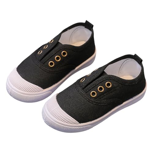 㗚  qC LbY n RۖhL ̎q j̎q L xr[ y ʋC ~ qp C ʊw tbg V[Y C w ʊwV[Y ̈كV[Y w ^(20.0 cm,)