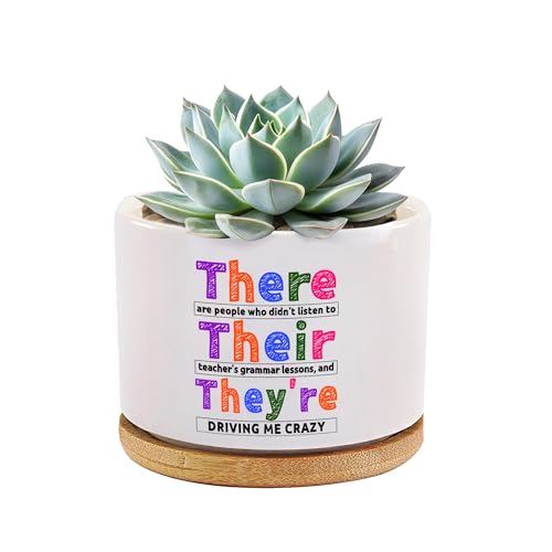 There Their Theyre Grammar English Teacher Gifts Editors Writers Teacher Appreciation Day Gifts Ceramic Succulent Plant Pot with Bamboo Tray Round Home Office Decor 3.5 Inch White (No Plants)