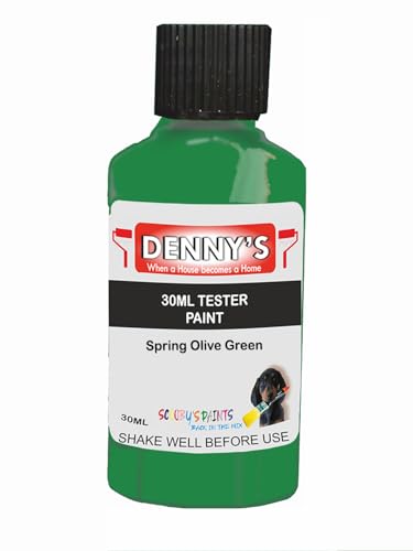 Premium Interior Wall & Furniture Chalk Paint – Spring Olive Green – Rich Matt Finish, Durable & Washable, Low Odour, Ideal for Living Rooms, Bedrooms & Hallways (30ML Tester Bottle)