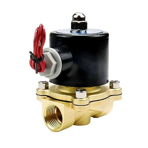 Électrovanne en laiton 1/2 NPT 12VDC avec joint Viton pour eau et gaz