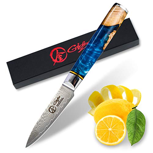 Dnifo Classic Paring Knife 3.5 Inch, Damascus Steel Japanese Knife - Sharp fruit knife for Peeling, Cutting, and Slicing - Non-stick Blade and Anti-rusting Forged Cutlery Knife