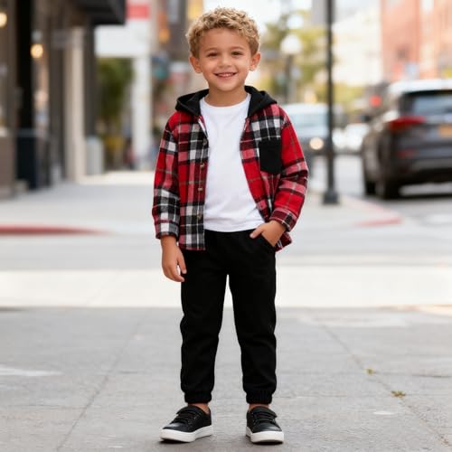 Image of Size 2-6 Years Toddler Boys Clothes Plaid Hooded & Pants 2 Piece Set Kids Boys Fall Outfits Sets