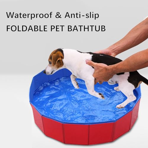 Hundepool, Faltbarer Hundepool, Tierpool, Planschbecken für Hunde, Tragbarer Hundepool, Haustierpool aus PVC, Hundepool für Hunde und Kinder (60 x 20 cm)