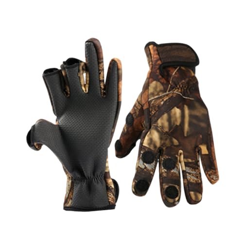 LOEFLIFA hlIvwIoO[u jp ʕ ۉ ʋCǍD ނ ] AEghAp