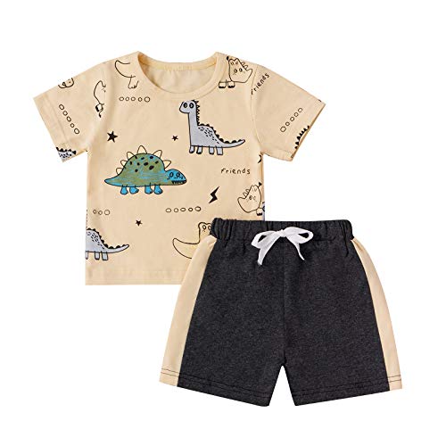 Infant Toddler Baby Boys Clothes Set Short Sleeve Dinosaur Print Sweatshirt Top Tank Short 2Piece Summer Outfits (Apricot+Short Sleeve, 18-24 Months)
