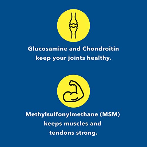 Healthy Joints System Glucosamine Chondroitin Msm Supplement For Joint And Bone Health - 120 Tablets #TOP2