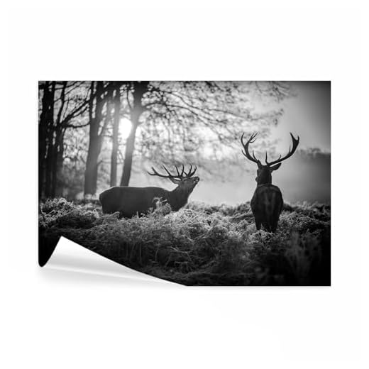 decomonkey Fototapete Hirsch 350x256 cm XL Tapete Fototapeten Vlies Tapeten Vliestapete Wandtapete moderne Wandbild Wand Schlafzimmer Wohnzimmer Natur Landschaft