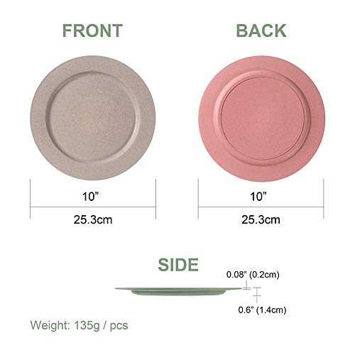 Weizenstroh-Teller Hobein 6er Set 25,3 cm, ultradünn und unzerbrechlich