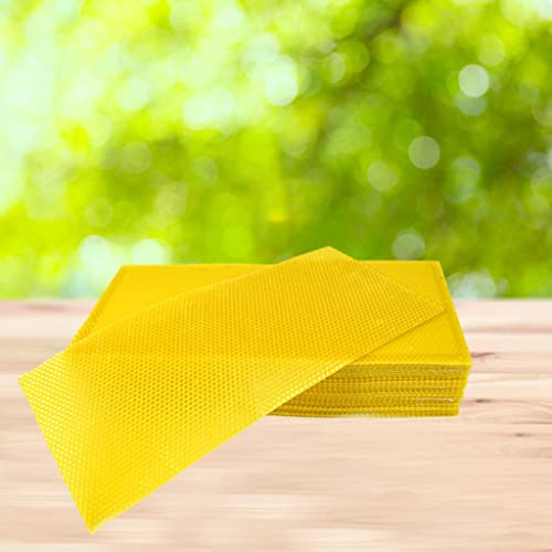 Herramientas de apicultura para evitar errores con cera básica 3