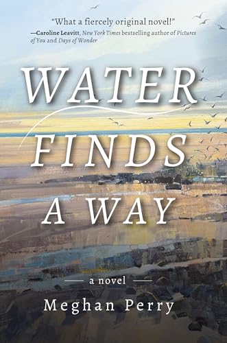 Water Finds a Way a novel